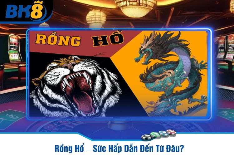 Rồng Hổ – Sức Hấp Dẫn Đến Từ Đâu?